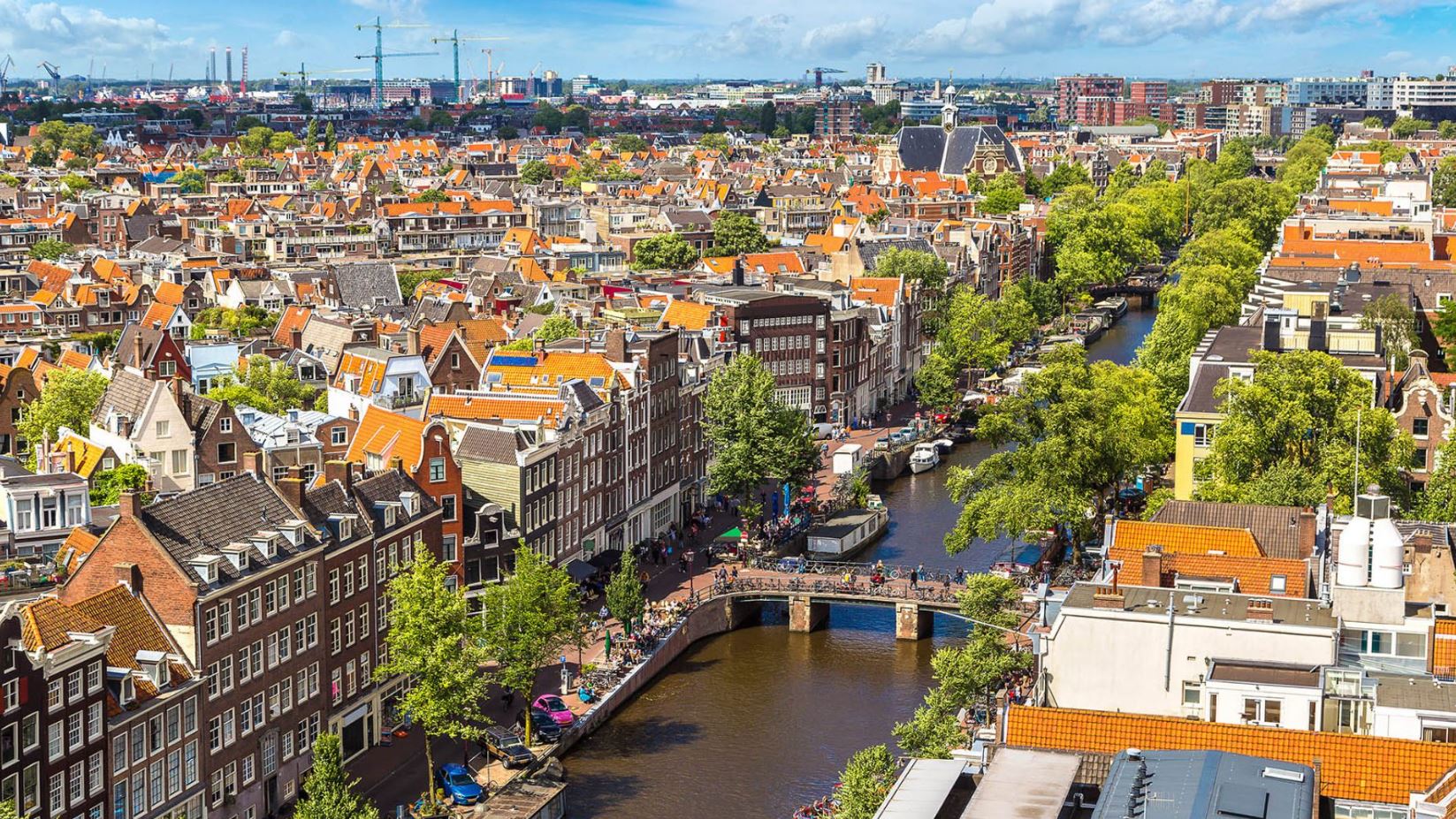 Study in Netherlands Consultants 