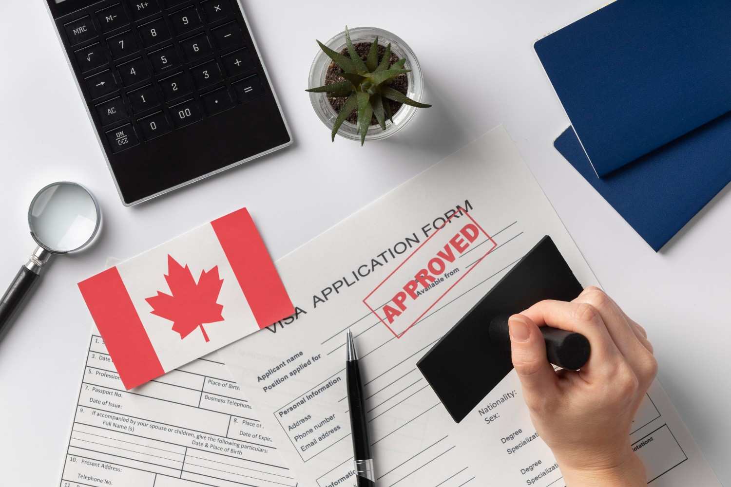 Canada immigration consultants in Kochi
